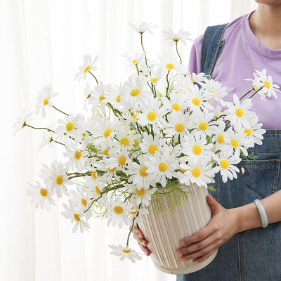 April Birth Flowers Unveiled: Know Your Birth Flower of Month April