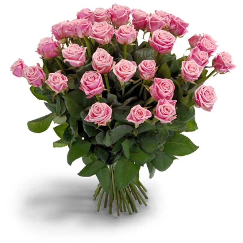 Flower Delivery Kochi, Send Flowers to Cochin Online, Same Day & Midni