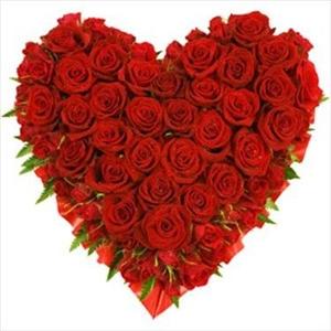 HEART DESIRE - 40 ROSES flowers CityFlowersIndia 