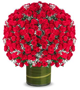 Royal Valentine Statement 250 Roses flowers CityFlowersIndia 