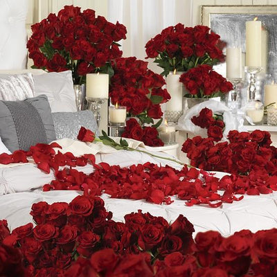 Room Full of Roses - 1000 Roses flowers CityFlowersIndia 