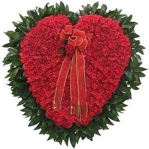 HEARTY Carnations flowers CityFlowersIndia 