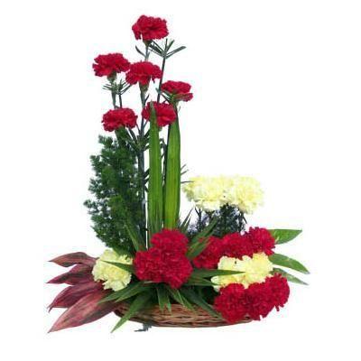 Blossoming Care Carnations flowers CityFlowersIndia 