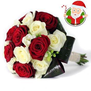 Christmas Rose Elegance flowers CityFlowersIndia 