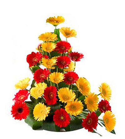 Eminence Love - Basket Arrangement flowers CityFlowersIndia 