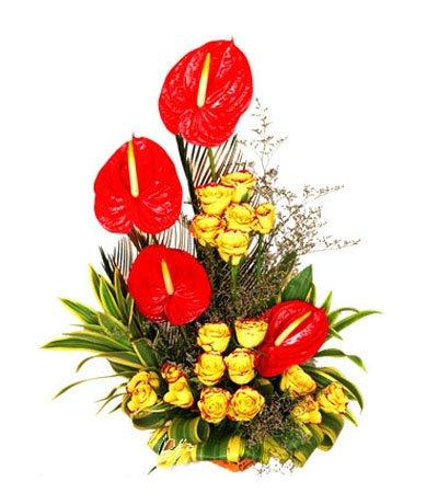 Decorous - Anthurium & Rose Basket flowers CityFlowersIndia 