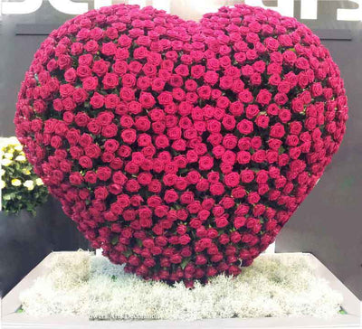 Premium 365 Roses | Love Forever flowers CityFlowersIndia 