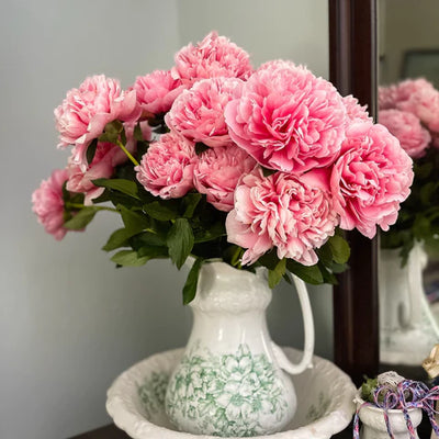Peony (Paeonia): A Guide to Its Types and Splendor