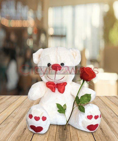 TEDDY - 1 Feet flowers CityFlowersIndia 