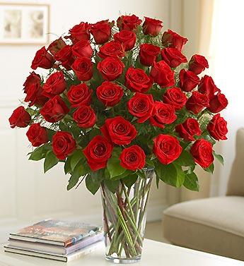 True Love Rose Romance flowers CityFlowersIndia 