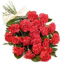 Pretty Red Carnations flowers CityFlowersIndia 