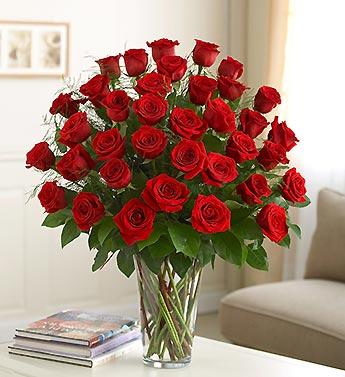 50 Red Roses flowers CityFlowersIndia 