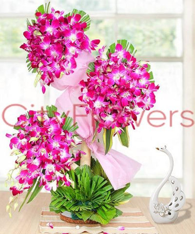 TO SUNNY SKIES ORCHIDS flowers CityFlowersIndia 