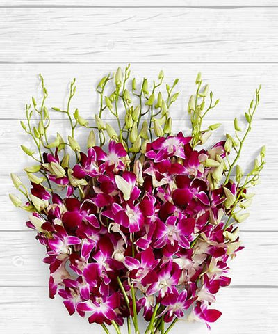 BUNCH OF AMAZING ORCHIDS flowers CityFlowersIndia 