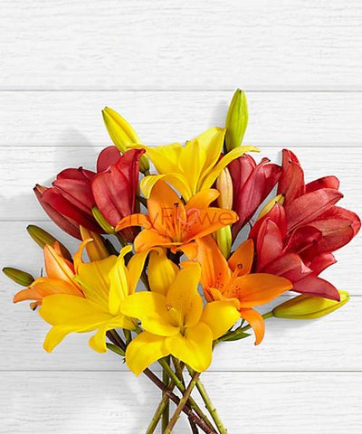 EMBERS LILIES flowers CityFlowersIndia 