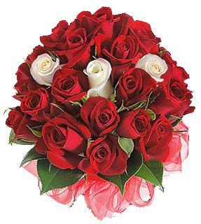 Elegant Rose Wishes flowers CityFlowersIndia 