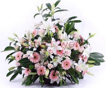 SWEET SENSATION flowers CityFlowersIndia 