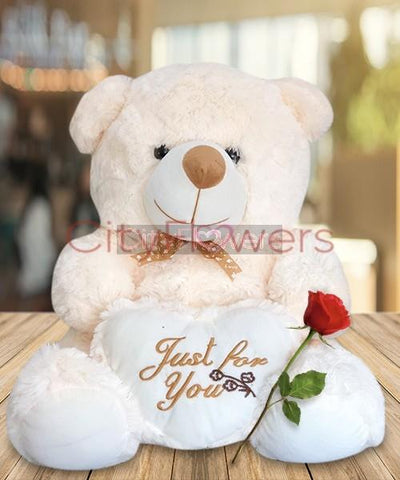 CUDDLY BEAR - 2 Feet flowers CityFlowersIndia 