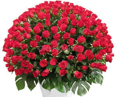 MESMERIZING LOVE flowers CityFlowersIndia 