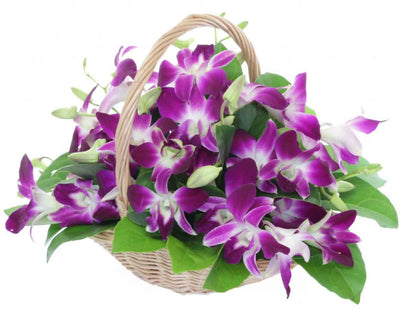 Orchids Basket flowers CityFlowersIndia 
