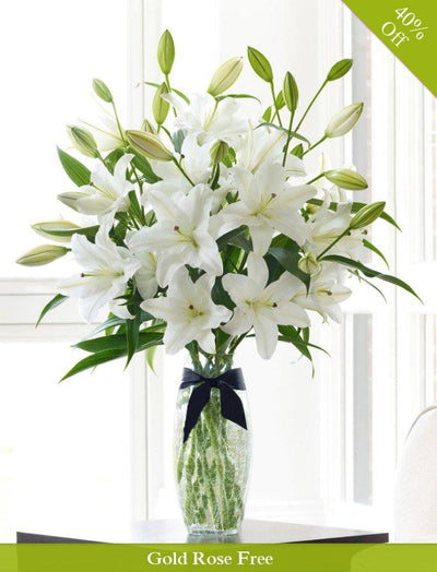 Innocence White By City Flowers flowers CityFlowersIndia 