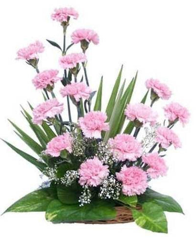 Pink Sweet Delight flowers CityFlowersIndia 