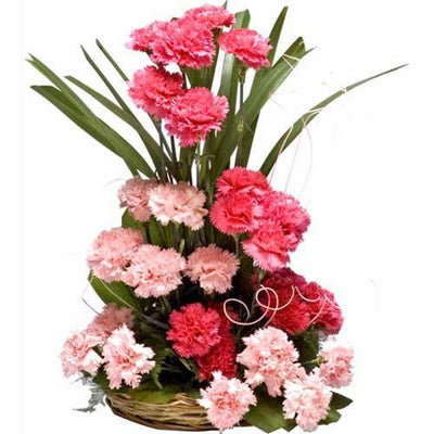 Pink and White Surprise flowers CityFlowersIndia 