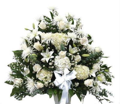 Pure Delight (Premium) flowers CityFlowersIndia 