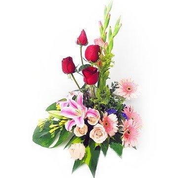 Blushing Innocent Love flowers CityFlowersIndia 