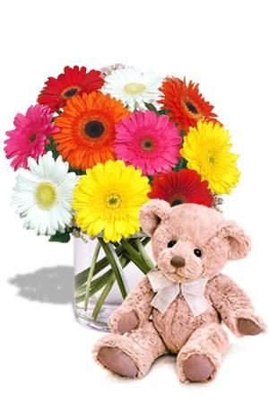 Fun Bear with Daisies flowers CityFlowersIndia 