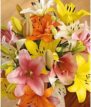 Luxury Beauty of Lilies flowers CityFlowersIndia 