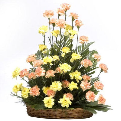 36 Carnation Fashion flowers CityFlowersIndia 