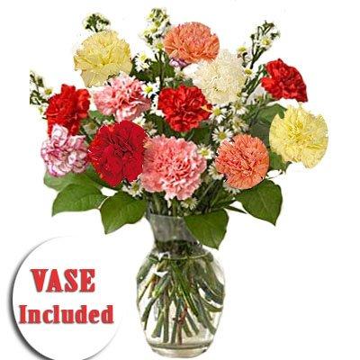 Delightful Carnations in a VASE flowers CityFlowersIndia 