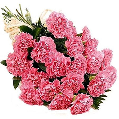 Pretty Pink - 18 Carnations flowers CityFlowersIndia 