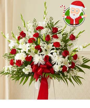 My Glorious Christmas flowers CityFlowersIndia 