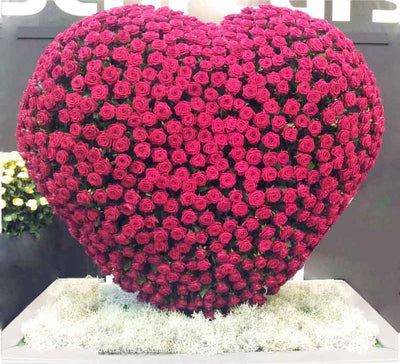 Premium 365 Roses | Love Forever flowers CityFlowersIndia 