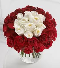 Red & White Roses- 27 flowers CityFlowersIndia 