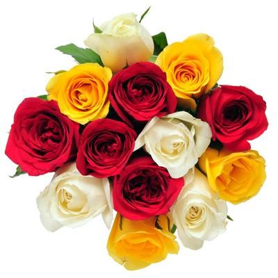 Dozen Roses flowers CityFlowersIndia 