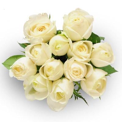 A Dozen Pure White Roses flowers CityFlowersIndia 